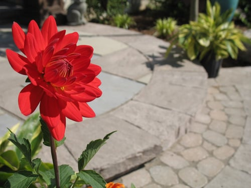 Pavers vs. Poured Concrete for Your Walkway